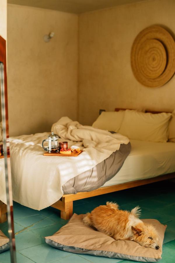 Boulenc Bed And Bread Hotell Oaxaca Exteriör bild